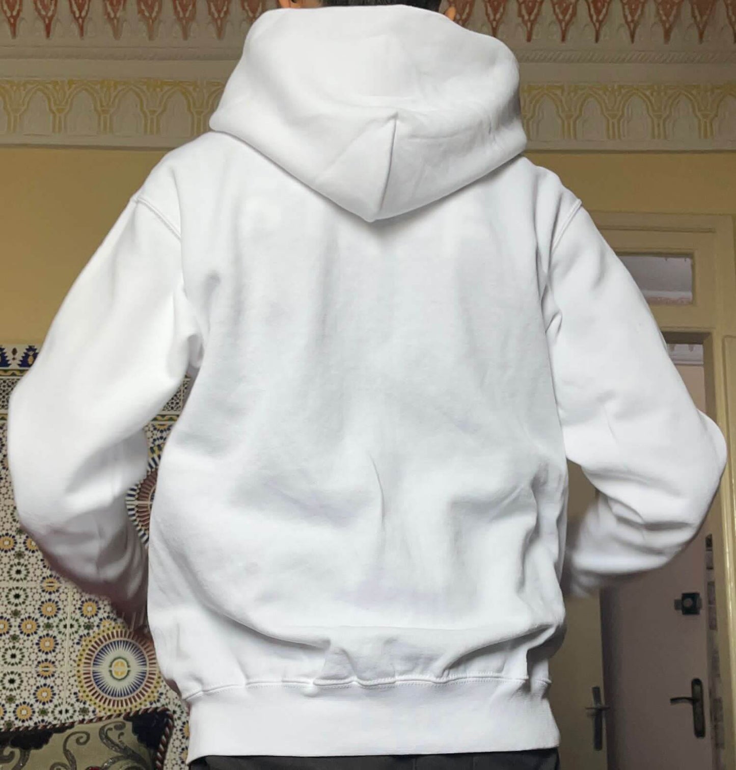 Zip hoodie Cypto-OS